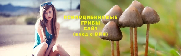 винт Семикаракорск