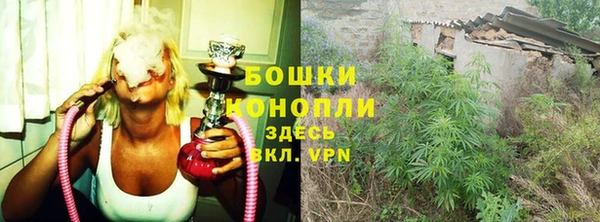 мет Данков