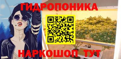 дурь Заводоуковск