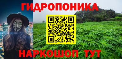 дурь Заводоуковск