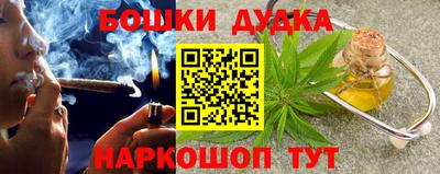 гидропоника Сланцы