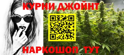 гидропоника Сланцы