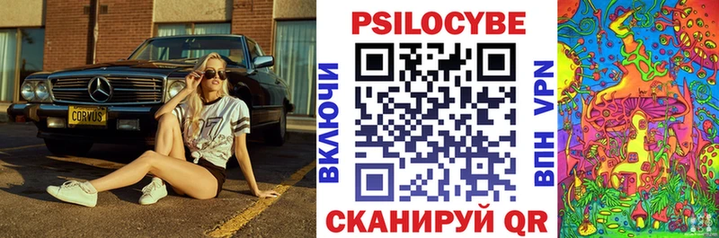 KRAKEN маркетплейс  Новокузнецк  дарк нет официальный сайт  где купить   Галлюциногенные грибы GOLDEN TEACHER 