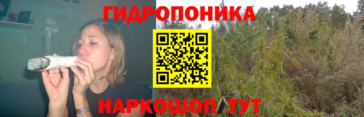 Каннабис SATIVA & INDICA  Каннабис SATIVA & INDICA  Новокузнецк  Каннабис SATIVA & INDICA  Каннабис SATIVA & INDICA  Каннабис SATIVA & INDICA  Каннабис SATIVA & INDICA 